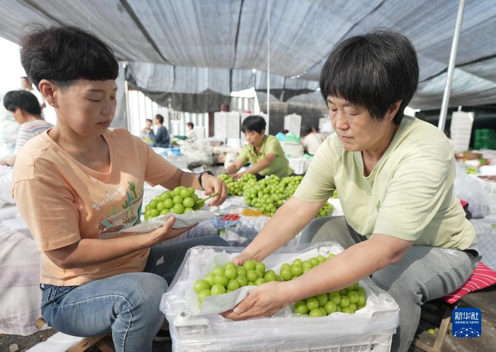 乐虎游戏官网
